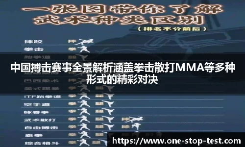 中国搏击赛事全景解析涵盖拳击散打MMA等多种形式的精彩对决