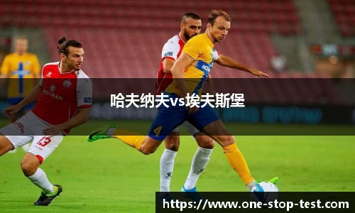 哈夫纳夫vs埃夫斯堡