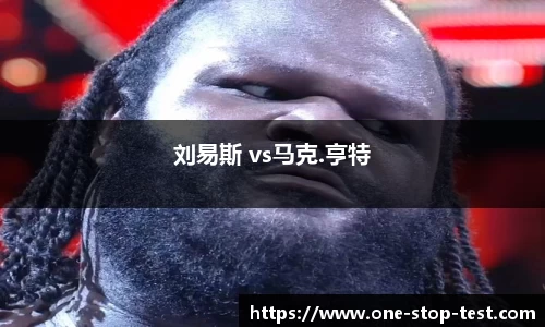 刘易斯 vs马克.亨特